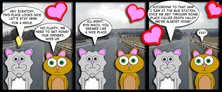 Kitty Time!