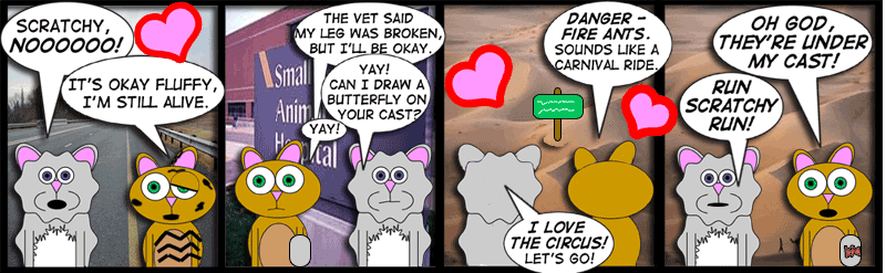 I love the circus